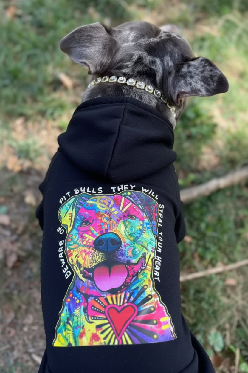 Steal Your Heart Hoodie￼