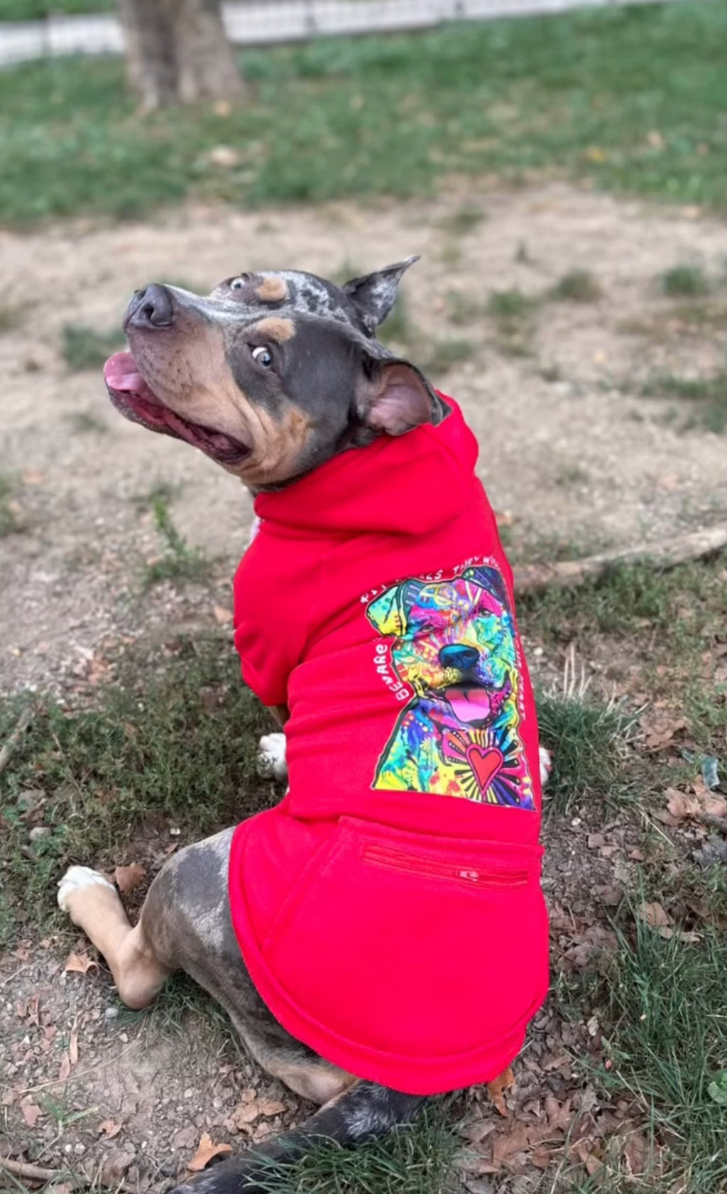 Steal Your Heart Hoodie￼