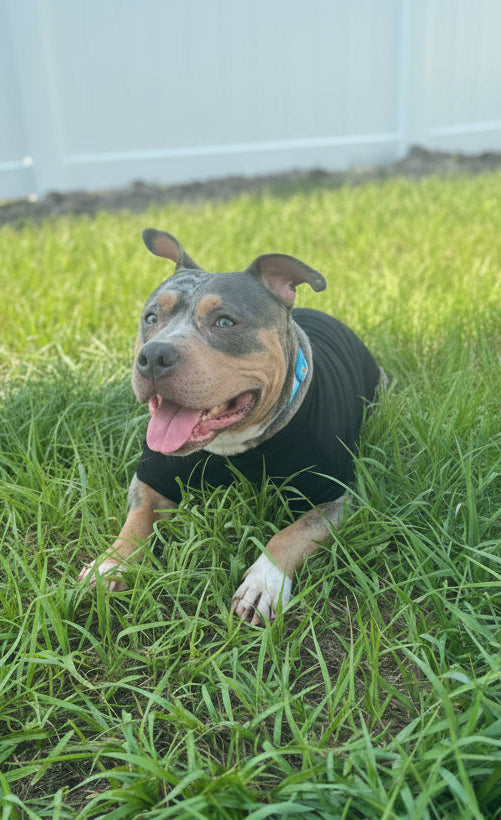 Zero Barks Given Tee