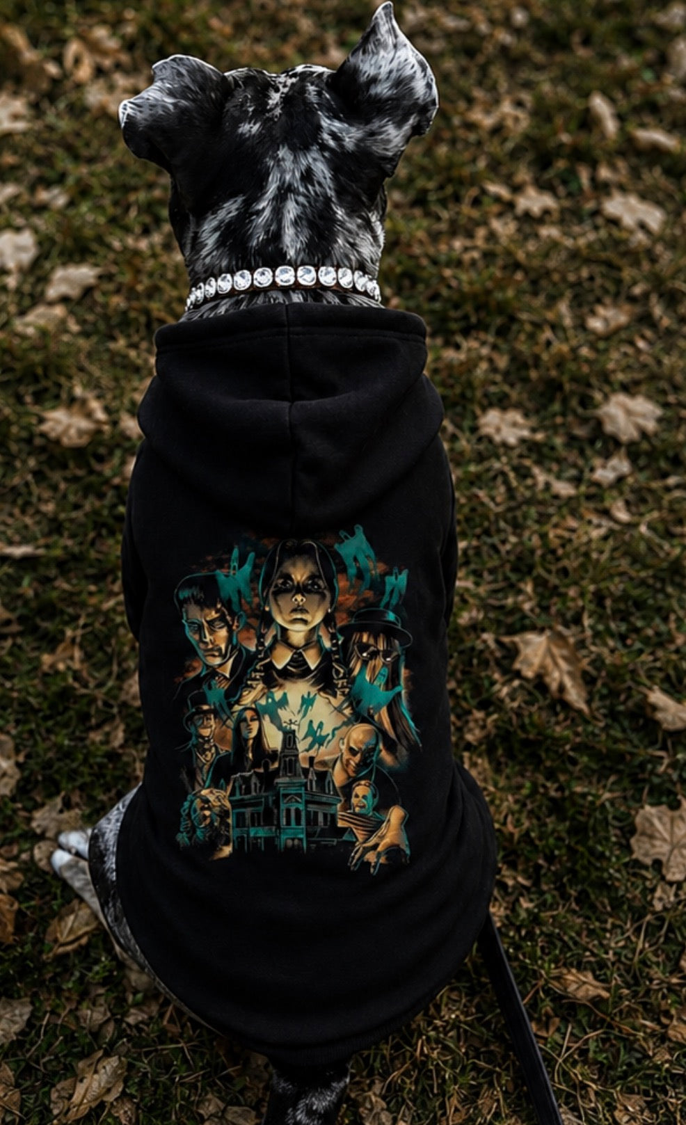 Glow In the Adams Family Hoodie