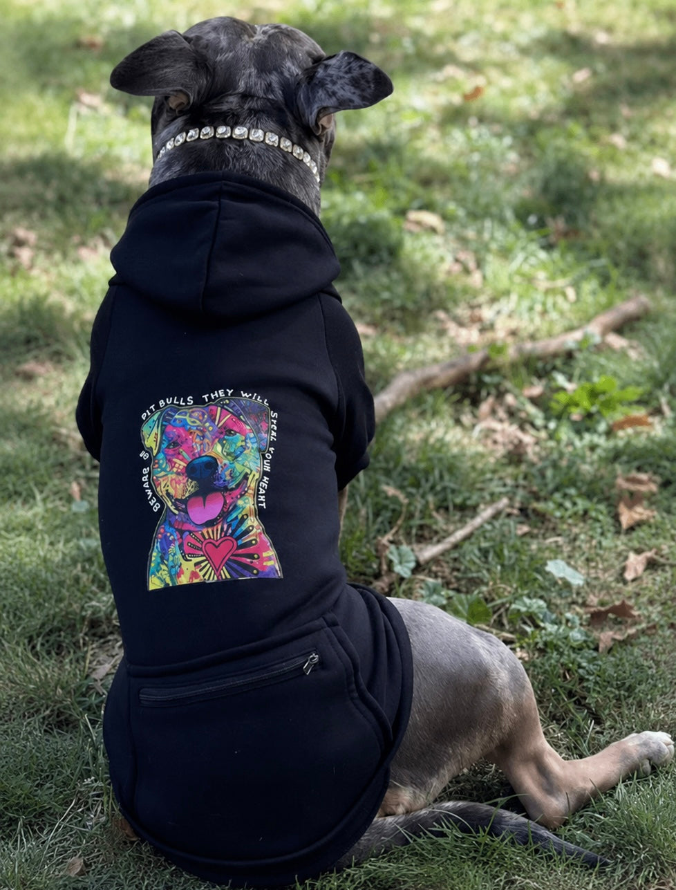 Steal Your Heart Hoodie￼