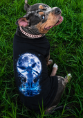 Glacier Guardian Tee
